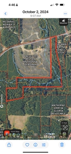 Land For Sale Hunting Land Amite County Magnolia Mississippi - image 34
