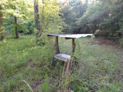 Land For Sale Hunting Land Amite County Magnolia Mississippi - image 33