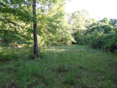 Land For Sale Hunting Land Amite County Magnolia Mississippi - image 32
