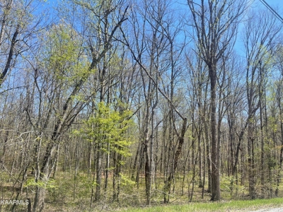 Wooded Acreage for Sale in Monterey, Tennessee - image 1