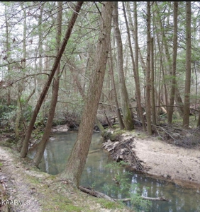 Wooded Acreage for Sale in Monterey, Tennessee - image 3
