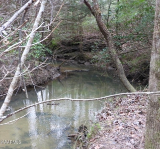 Wooded Acreage for Sale in Monterey, Tennessee - image 5