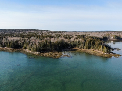Oceanfront Acreage - image 1