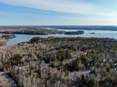 Oceanfront Acreage - image 12