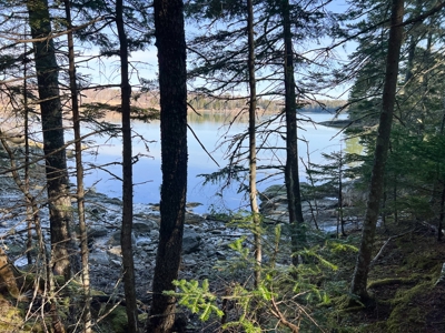 Oceanfront Acreage - image 21