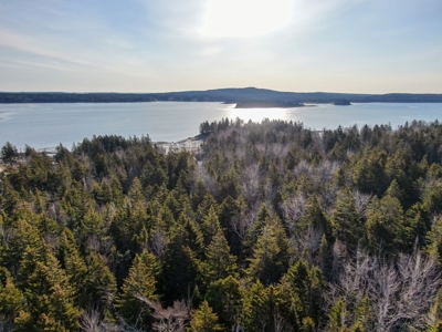 Oceanfront Acreage - image 2