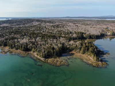 Oceanfront Acreage - image 11