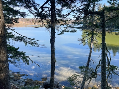 Oceanfront Acreage - image 17