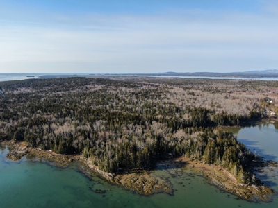 Oceanfront Acreage - image 10