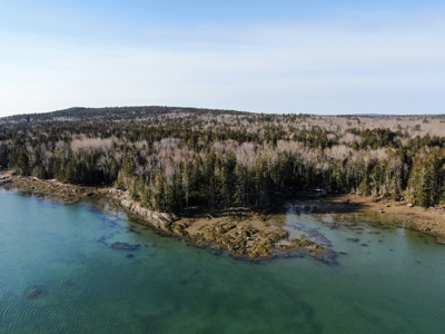Oceanfront Acreage - image 8