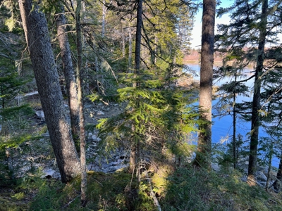 Oceanfront Acreage - image 18