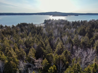 Oceanfront Acreage - image 3