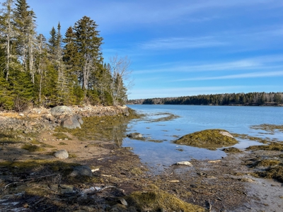 Oceanfront Acreage - image 16