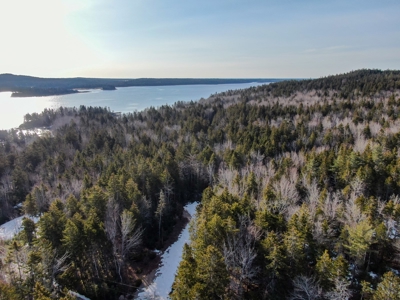 Oceanfront Acreage - image 5
