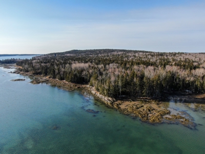 Oceanfront Acreage - image 9