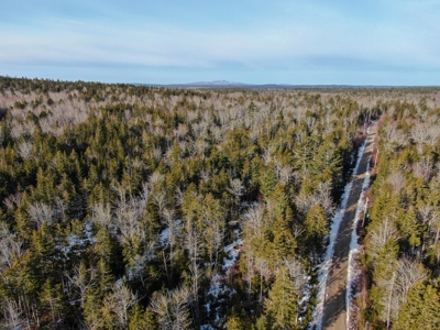 Oceanfront Acreage - image 6
