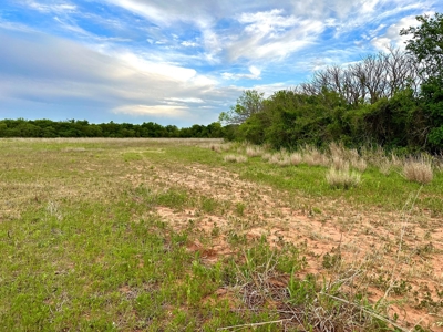 163 Beautiful Acres Located in The Heart of  Farm Country - image 19