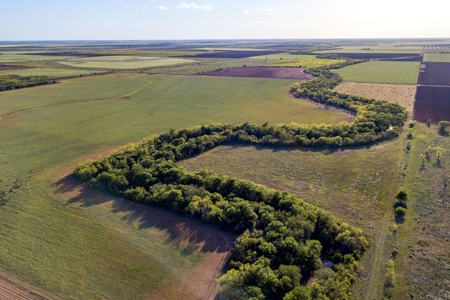 163 Beautiful Acres Located in The Heart of  Farm Country - image 10