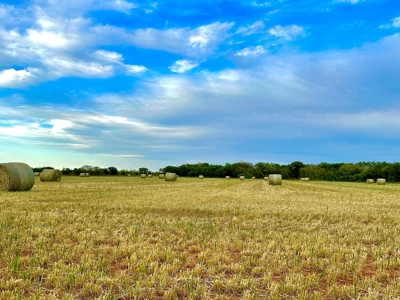 163 Beautiful Acres Located in The Heart of  Farm Country - image 18