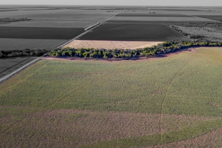 163 Beautiful Acres Located in The Heart of  Farm Country - image 5