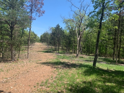 Peninsula on Bull Shoals Lake - image 25