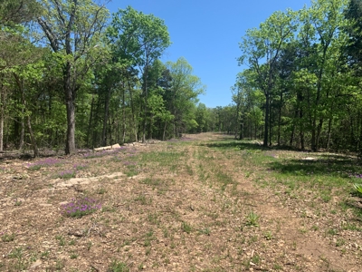 Peninsula on Bull Shoals Lake - image 28