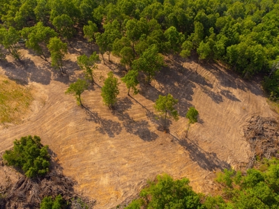 Peninsula on Bull Shoals Lake - image 43