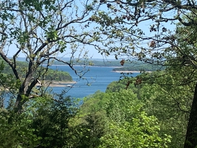 Peninsula on Bull Shoals Lake - image 6