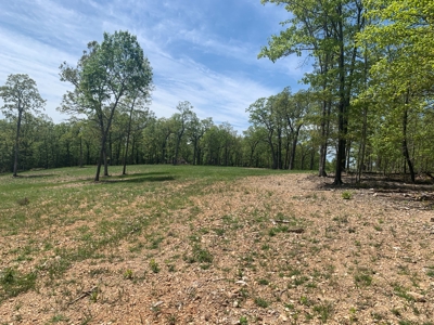 Peninsula on Bull Shoals Lake - image 2