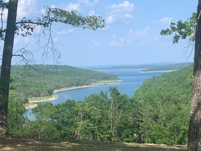 Peninsula on Bull Shoals Lake - image 34