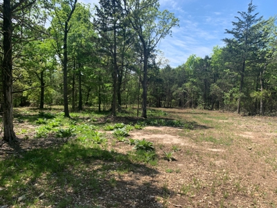 Peninsula on Bull Shoals Lake - image 30