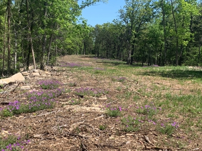 Peninsula on Bull Shoals Lake - image 29