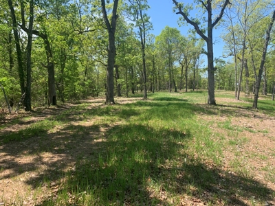 Peninsula on Bull Shoals Lake - image 21