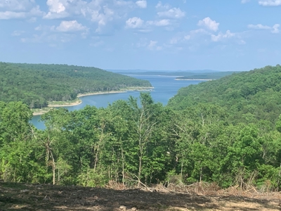 Peninsula on Bull Shoals Lake - image 32