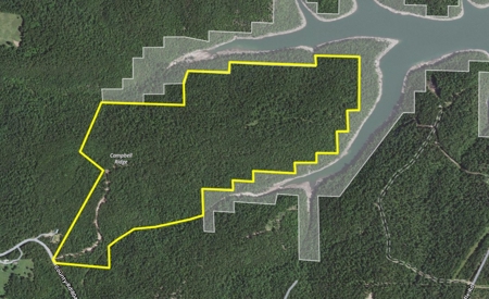 Peninsula on Bull Shoals Lake - image 46