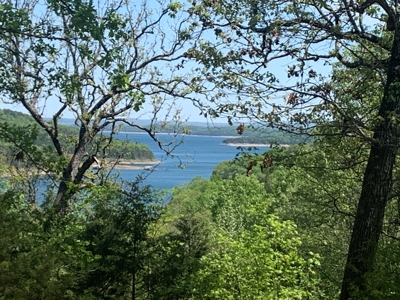 Peninsula on Bull Shoals Lake - image 5