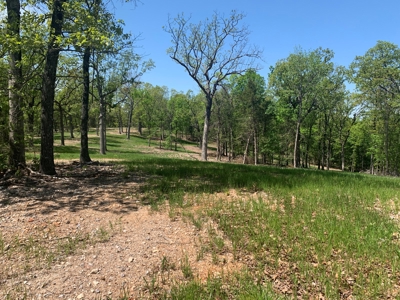 Peninsula on Bull Shoals Lake - image 20