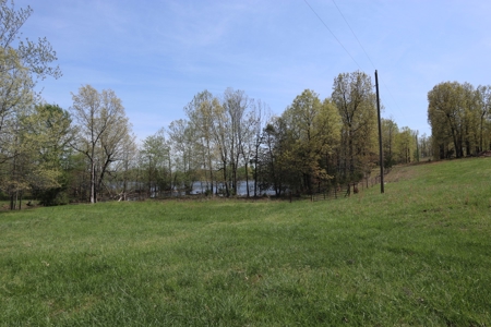 Ozarks Cattle Ranch With Lake And Cabin Near Salem Arkansas - image 29