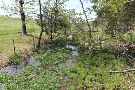 Ozarks Cattle Ranch With Lake And Cabin Near Salem Arkansas - image 10