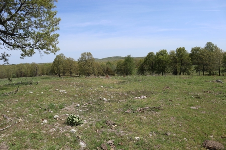 Ozarks Cattle Ranch With Lake And Cabin Near Salem Arkansas - image 26