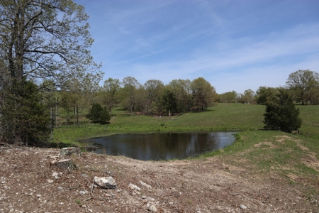 Ozarks Cattle Ranch With Lake And Cabin Near Salem Arkansas - image 21