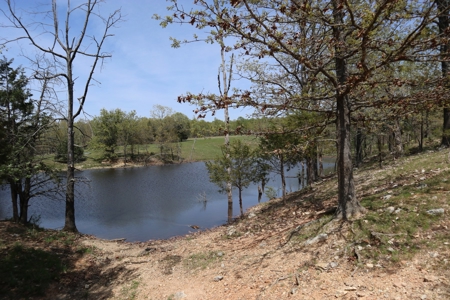 Ozarks Cattle Ranch With Lake And Cabin Near Salem Arkansas - image 22