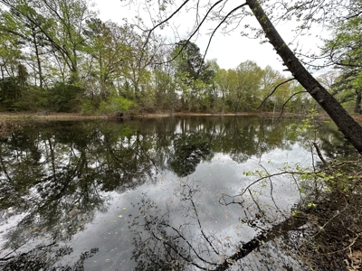 East Texas Recreational Land For Sale - image 12
