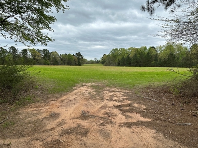 East Texas Recreational Land For Sale - image 8