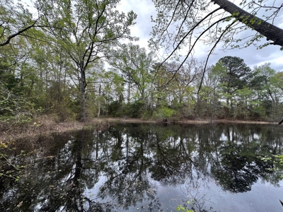 East Texas Recreational Land For Sale - image 14