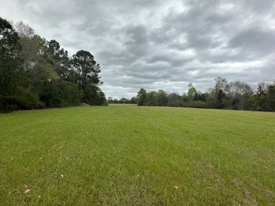 East Texas Recreational Land For Sale - image 22