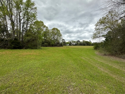 East Texas Recreational Land For Sale - image 9
