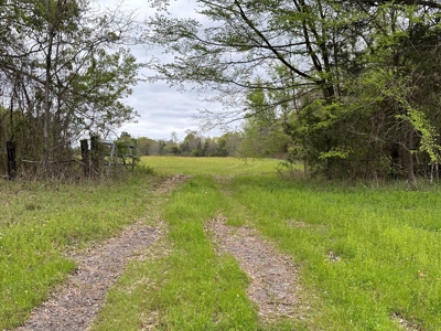 East Texas Recreational Land For Sale - image 29