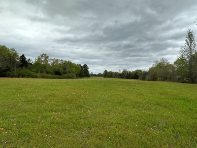 East Texas Recreational Land For Sale - image 28
