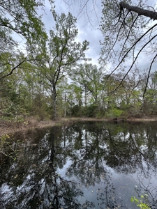 East Texas Recreational Land For Sale - image 13